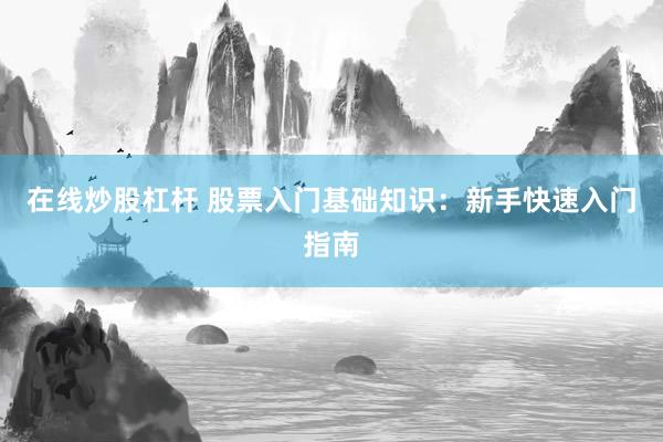 在线炒股杠杆 股票入门基础知识：新手快速入门指南