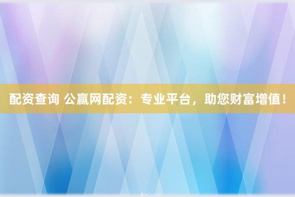 配资查询 公赢网配资：专业平台，助您财富增值！