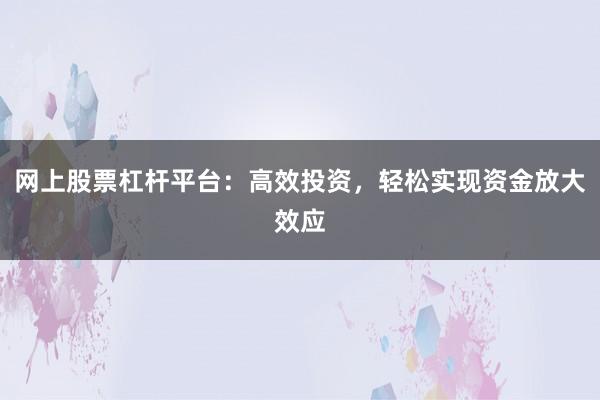 网上股票杠杆平台：高效投资，轻松实现资金放大效应