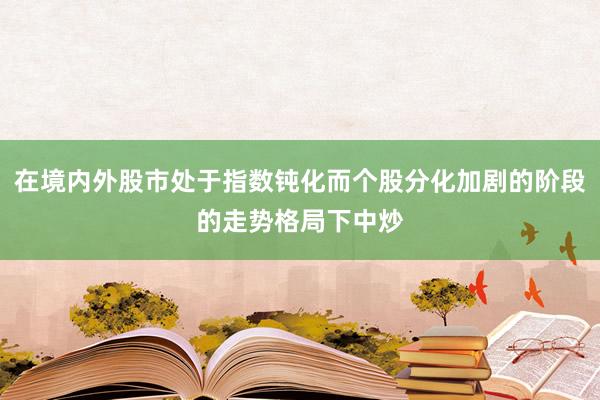 在境内外股市处于指数钝化而个股分化加剧的阶段的走势格局下中炒