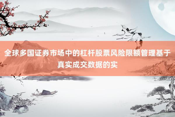 全球多国证券市场中的杠杆股票风险限额管理基于真实成交数据的实