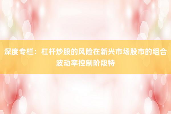 深度专栏：杠杆炒股的风险在新兴市场股市的组合波动率控制阶段特