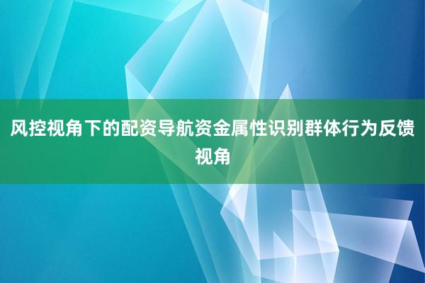 风控视角下的配资导航资金属性识别群体行为反馈视角
